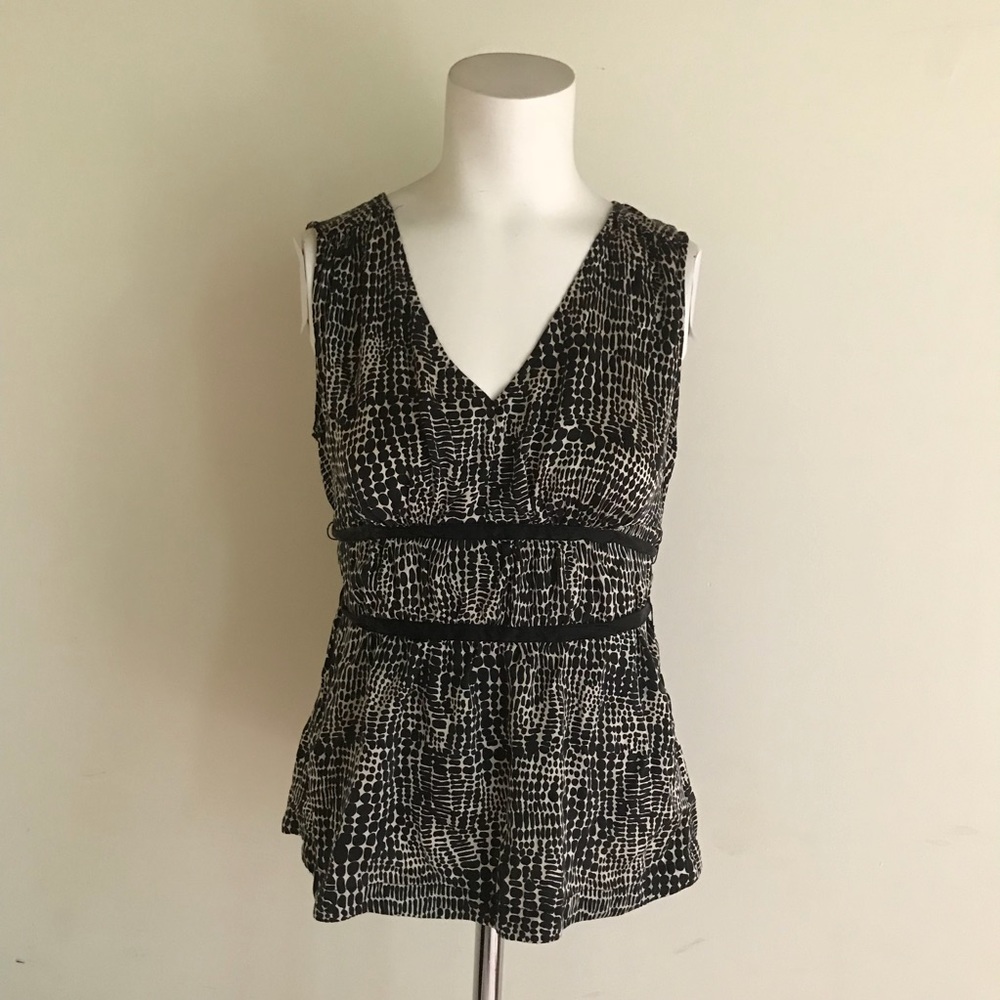 The Limited 100% Silk Top